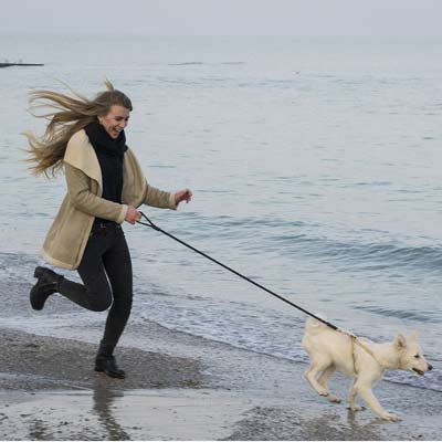 Walking along the beach with your dog after stem cell therapy