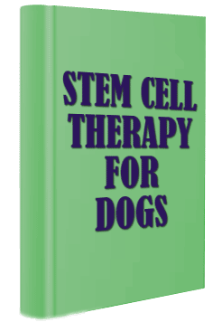 myGreenBook Free EBOOK on caninie stem cell therapy