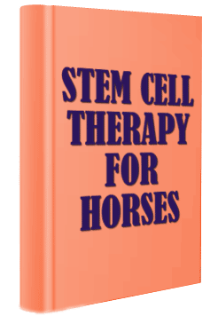 Book On Equine Stem Cell Thereapy