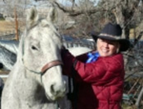 Horse Testimonials – Grey Ghost